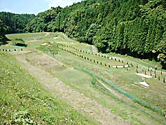 �p�[�N�S���t