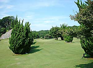 �V���[�g�R�[�X